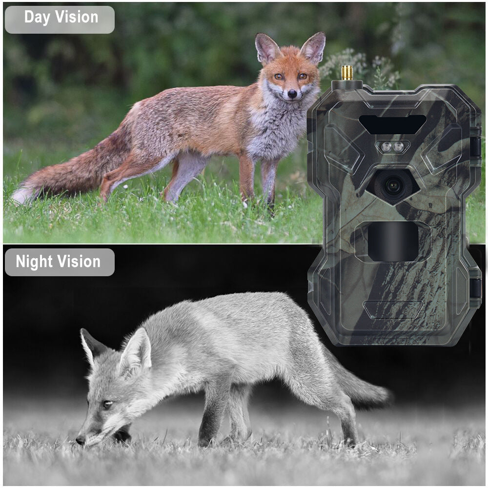 2K4G outdoor hunting camera HC-880Pro APP remote mobile phone control to view photos and videos at any time